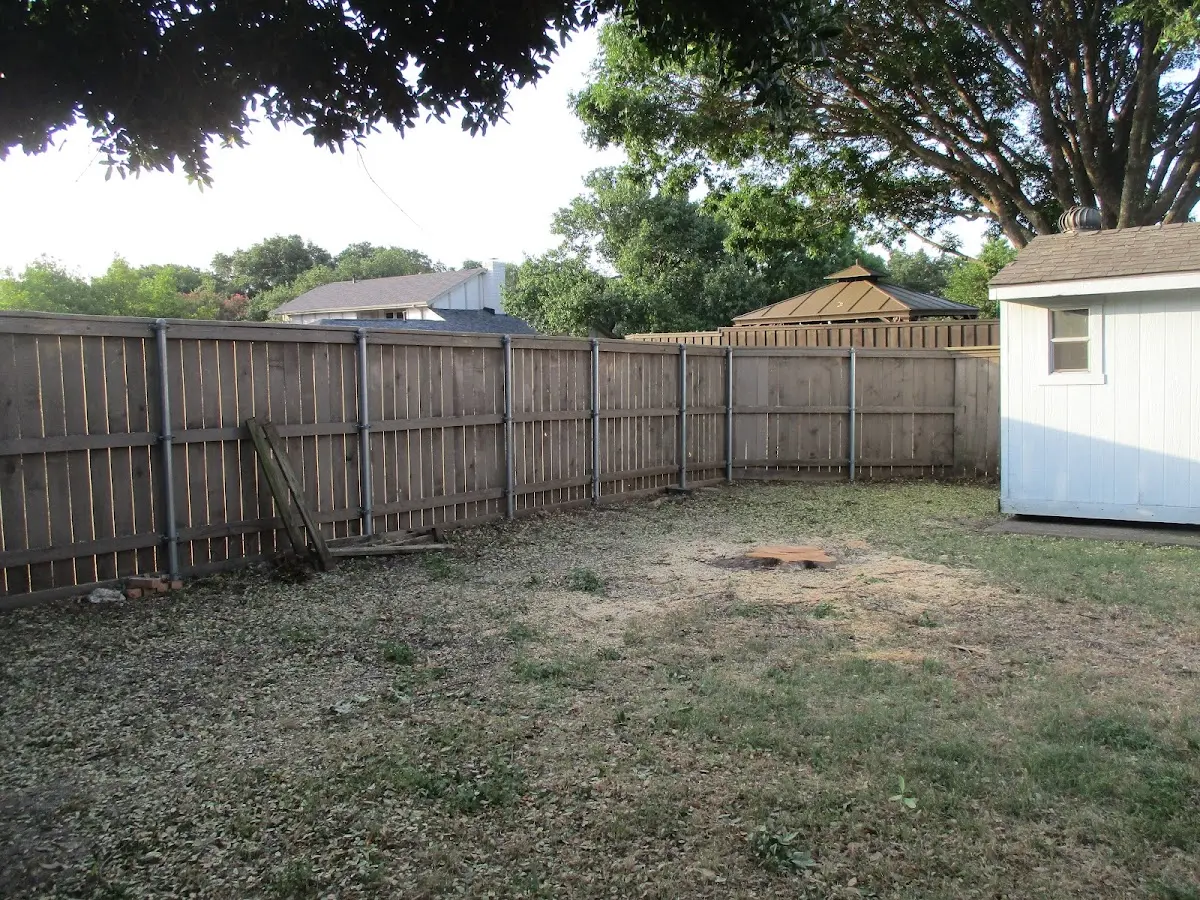 Cleared yard after professional tree removal in West Hartford